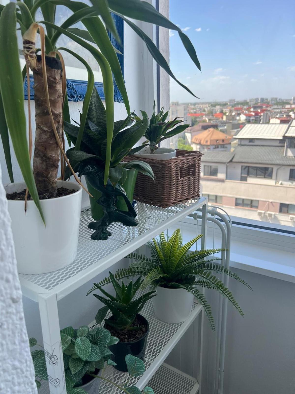 Apartment 1bdr Perla 225 *